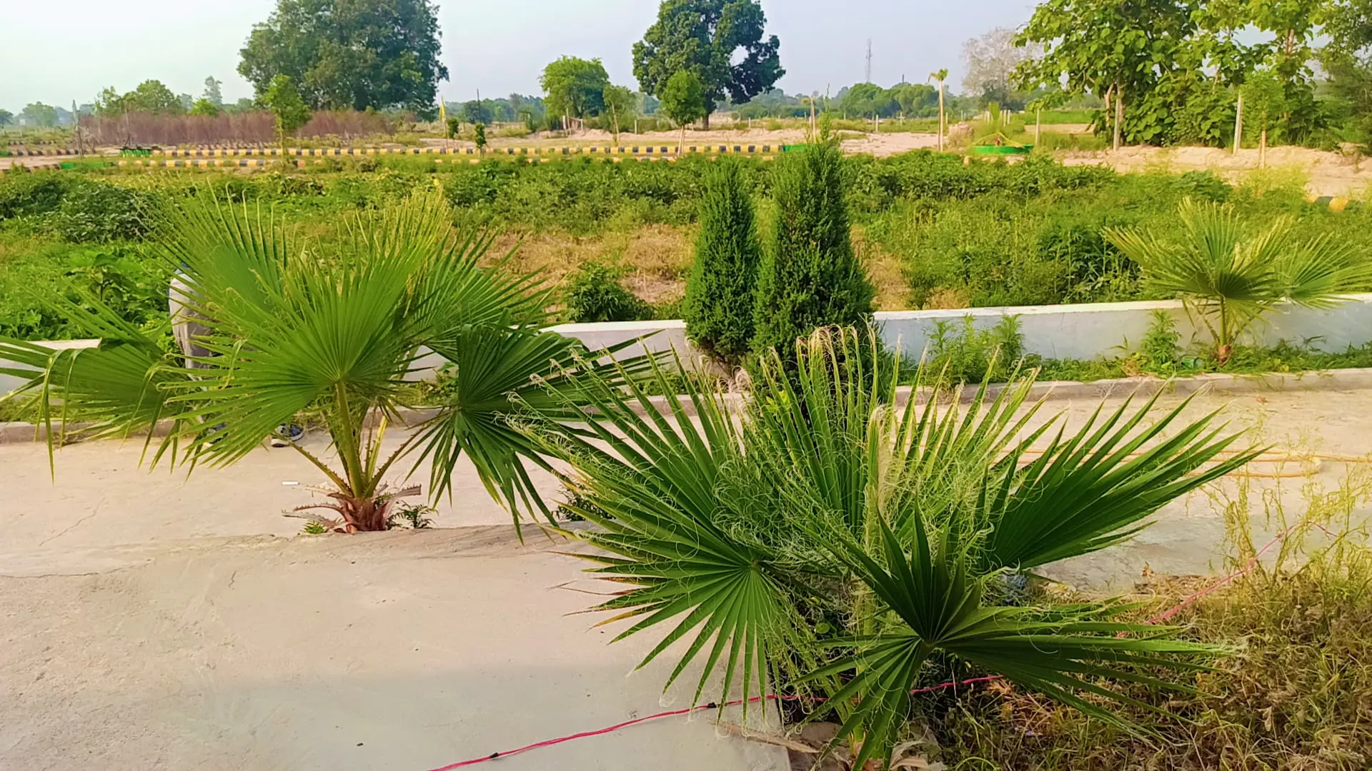 Garden Ganj