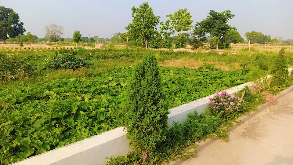 Garden Ganj